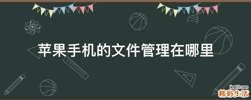 苹果手机的文件管理在哪里