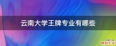 云南大学王牌专业有哪些