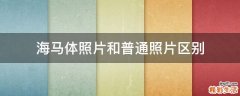 海马体照片和普通照片区别