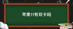 苹果11有双卡吗