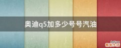 奥迪q5加多少号号汽油