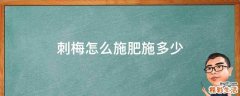 刺梅怎么施肥施多少