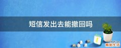 短信发出去能撤回吗