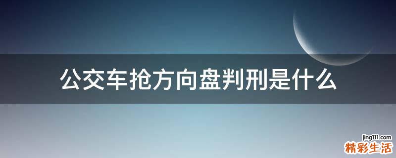 公交车抢方向盘判刑是什么