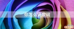 你怎么说歌词