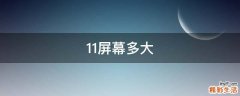 11屏幕多大