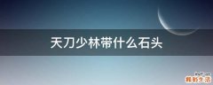 天刀少林带什么石头