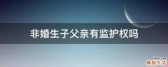 非婚生子父亲有监护权吗