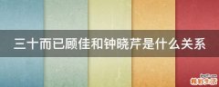 三十而已顾佳和钟晓芹是什么关系