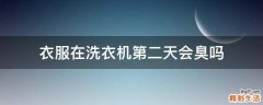 衣服在洗衣机第二天会臭吗