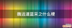 魏远道蓝采之什么梗