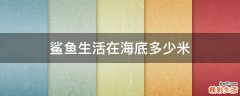 鲨鱼生活在海底多少米