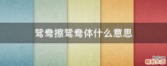 鸳鸯擦鸳鸯体什么意思