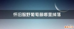 懷舊服野葡萄藤哪里掉落