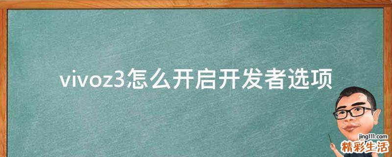 vivoz3怎么开启开发者选项