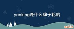 yonking是什么牌子輪胎