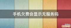 手机欠费会显示无服务吗