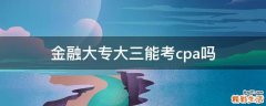 金融大专大三能考cpa吗