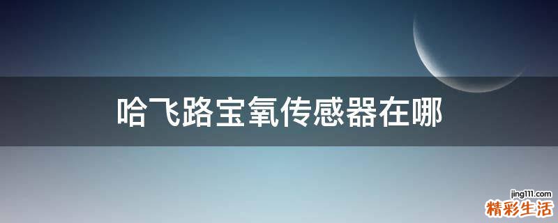 哈飞路宝氧传感器在哪