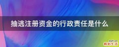 抽逃注冊(cè)資金的行政責(zé)任是什么