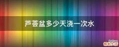 芦荟盆多少天浇一次水