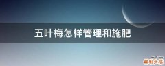 五叶梅怎样管理和施肥