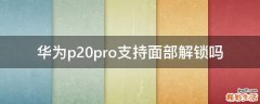 华为p20pro支持面部解锁吗