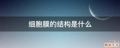 细胞膜的结构是什么