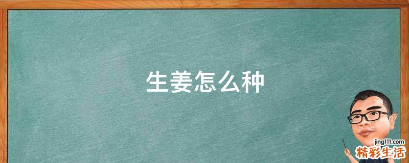 生姜怎么种