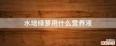 水培绿萝用什么营养液