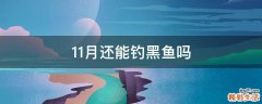 11月还能钓黑鱼吗