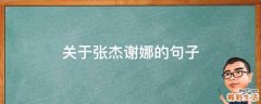 关于张杰谢娜的句子