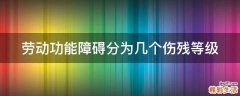 劳动功能障碍分为几个伤残等级