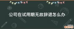 公司在試用期無故辭退怎么辦