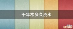 千年木多久澆水