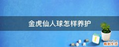 金虎仙人球怎樣養(yǎng)護