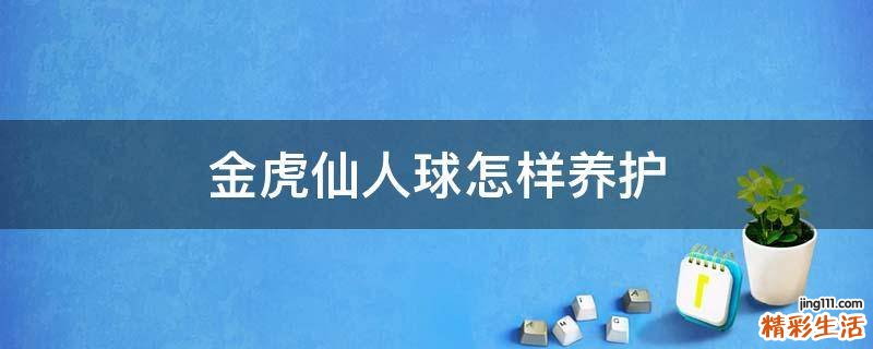 金虎仙人球怎样养护