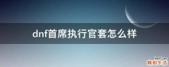 dnf首席执行官套怎么样
