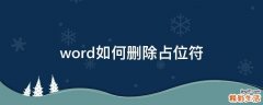 word如何删除占位符