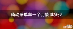 騎動(dòng)感單車一個(gè)月能減多少
