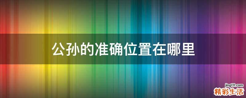 公孫的準(zhǔn)確位置在哪里