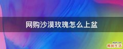 網(wǎng)購沙漠玫瑰怎么上盆