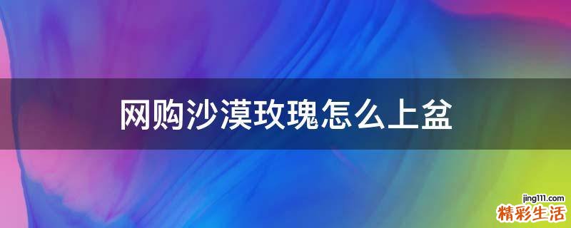 网购沙漠玫瑰怎么上盆