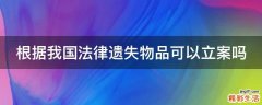 根据我国法律遗失物品可以立案吗