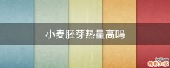 小麦胚芽热量高吗