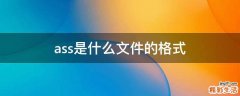 ass是什么文件的格式