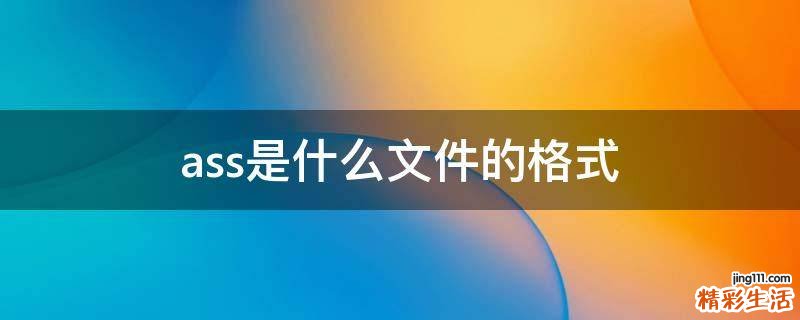 ass是什么文件的格式