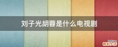 刘子光胡蓉是什么电视剧