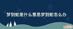 梦到蛇是什么意思梦到蛇怎么办