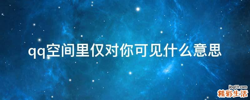 qq空间里仅对你可见什么意思